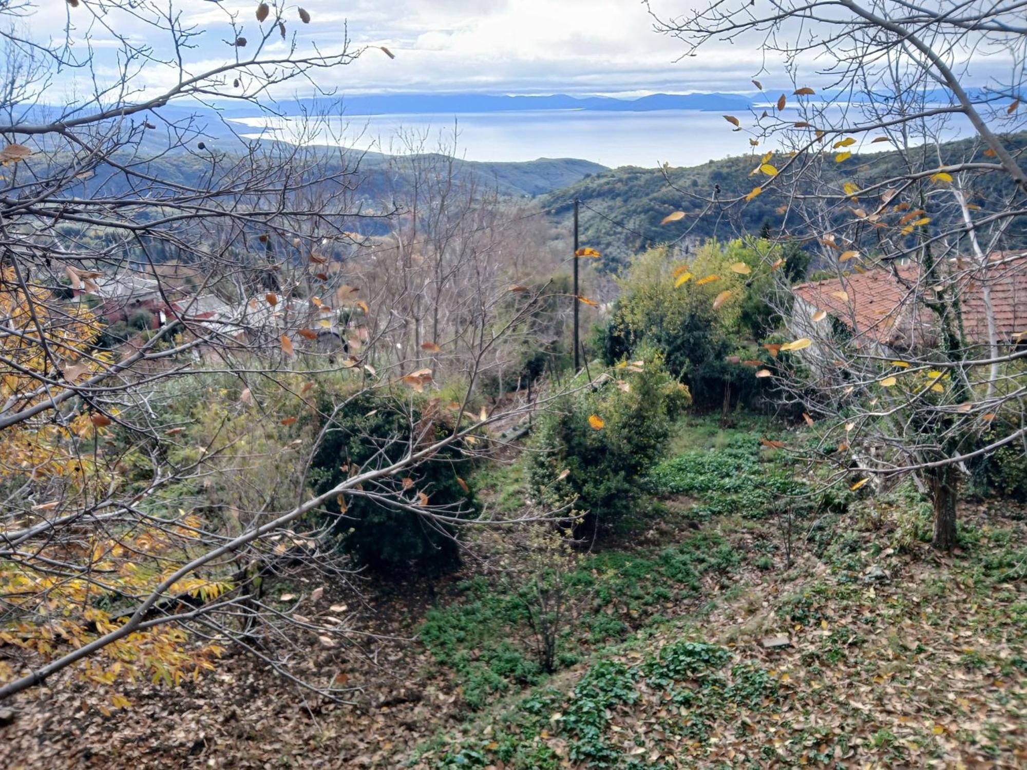 Villa Mountain And Sea View à Miléai Extérieur photo